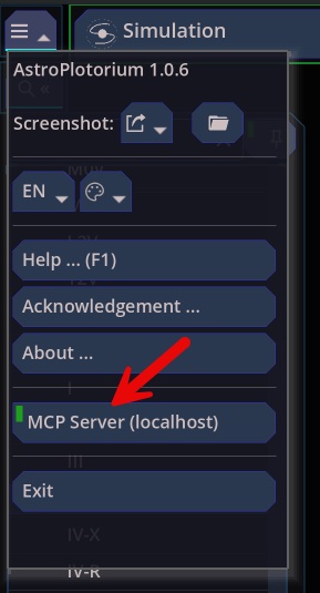 Home menu with MCP Server checked
